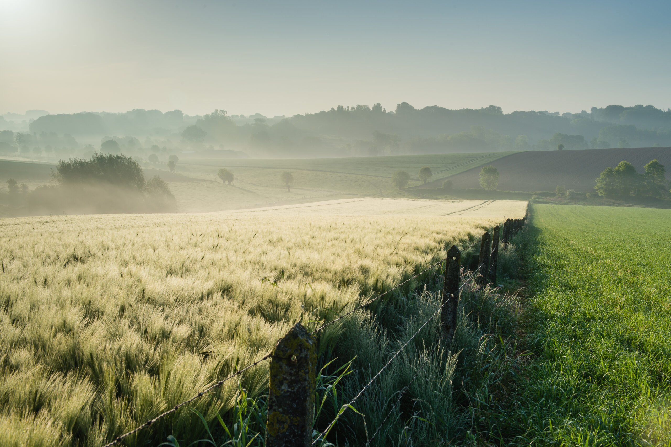 't Neerhof